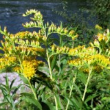 1808F 081 Isar Radweg